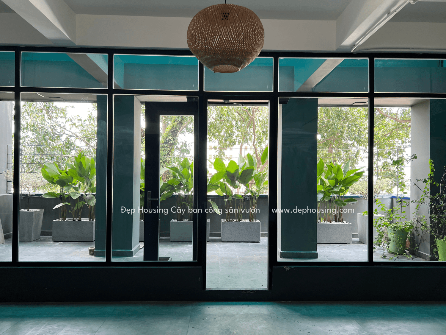 Trang trí cây xanh bệnh viện mắt quốc tế VinEye