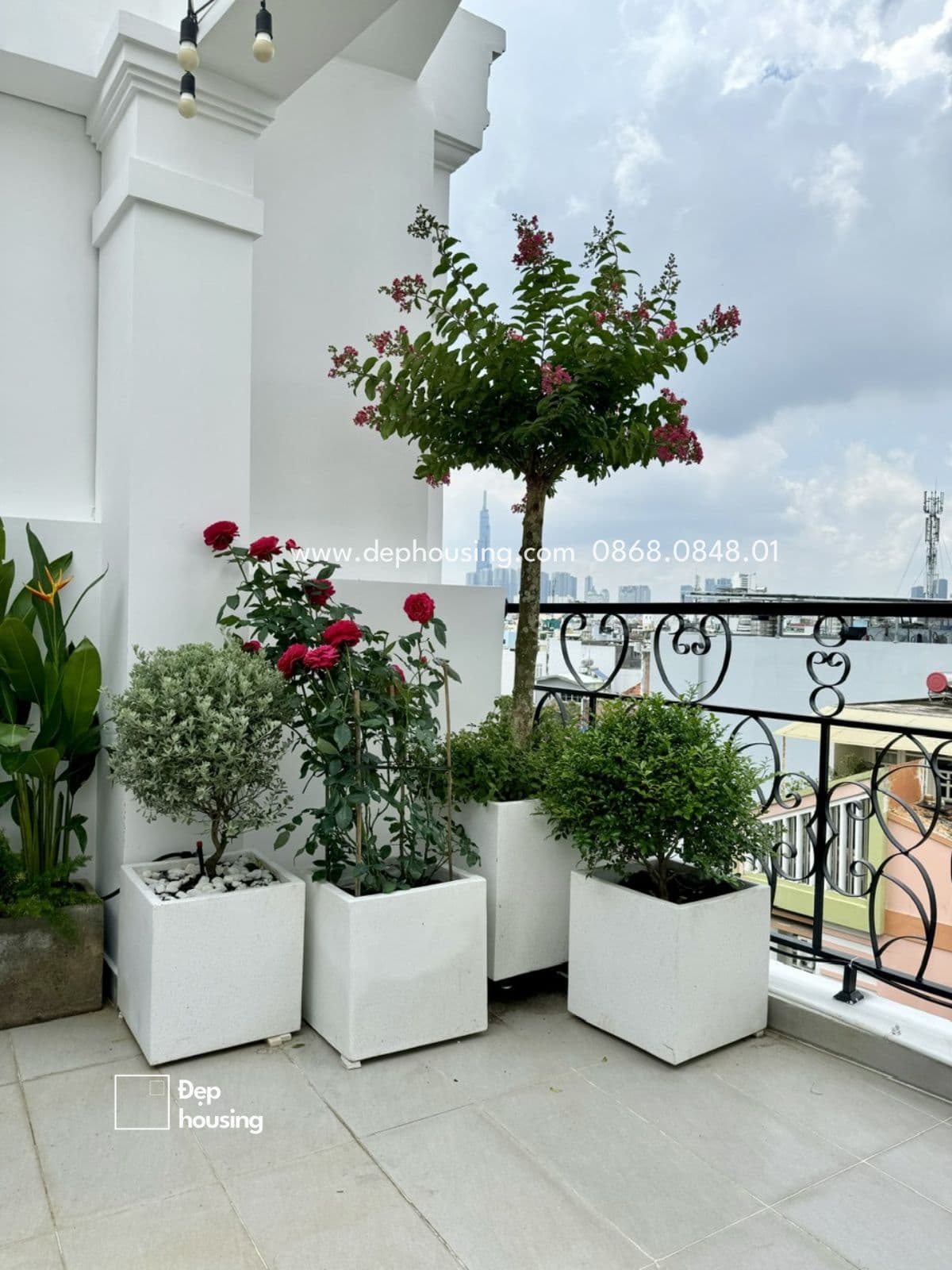 Tiểu cảnh sân vườn Phát Tài Núi và Tùng