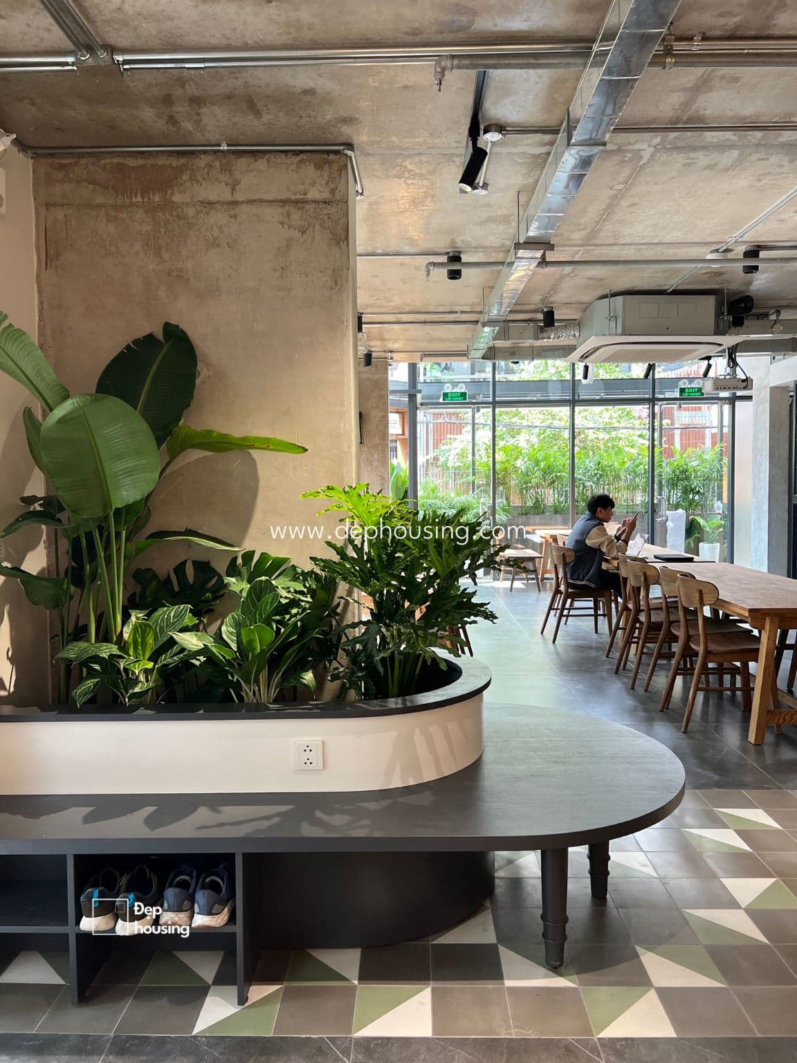 Cây bông sứ trồng sân vườn