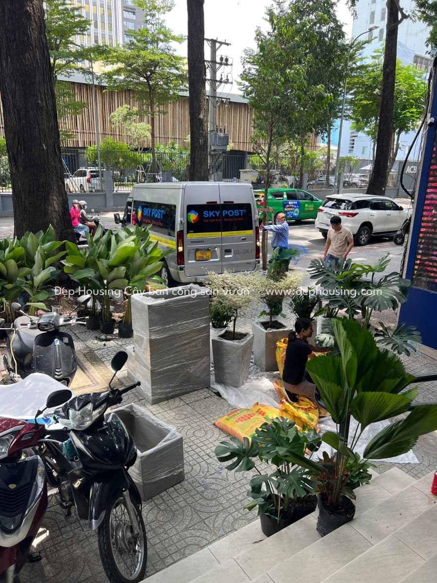 Dự án thiết kế cảnh quan sân vườn do Đẹp Housing thực hiện