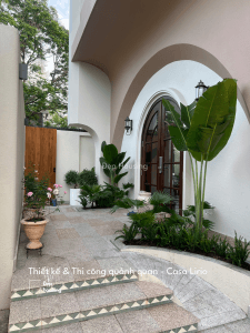 Trang trí cây xanh phong cách nhiệt đới tropical