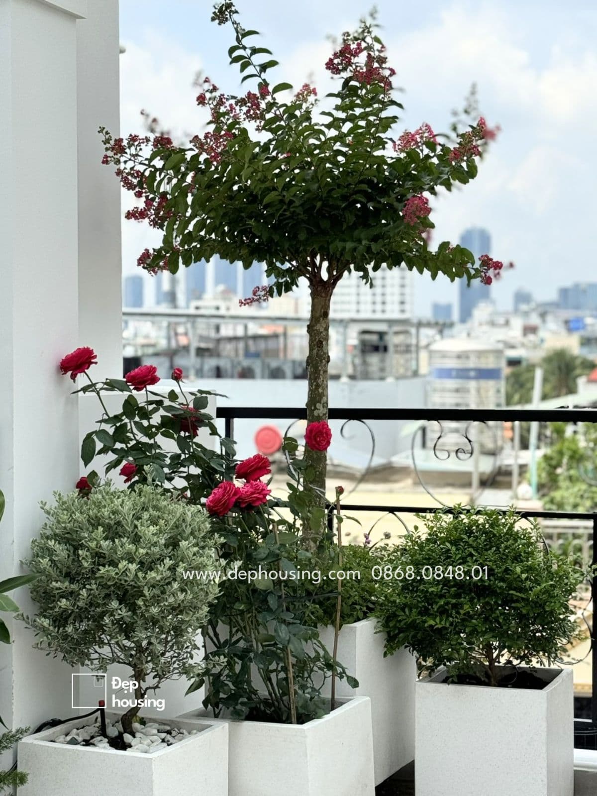 Trồng hoa trên sân thượng có dễ trồng không?