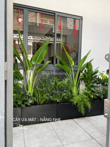 Cây giếng trời phong cách nhiệt đới