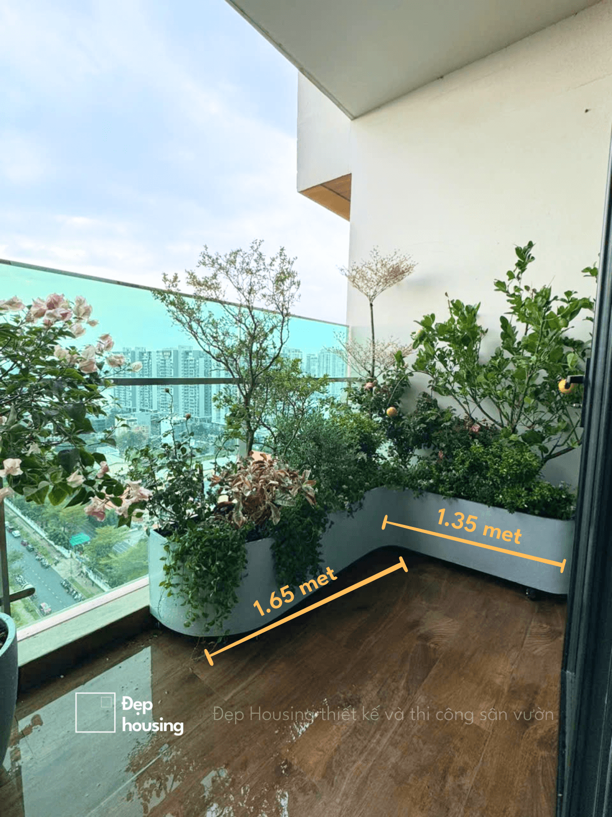 Set cây ban công ưa nắng