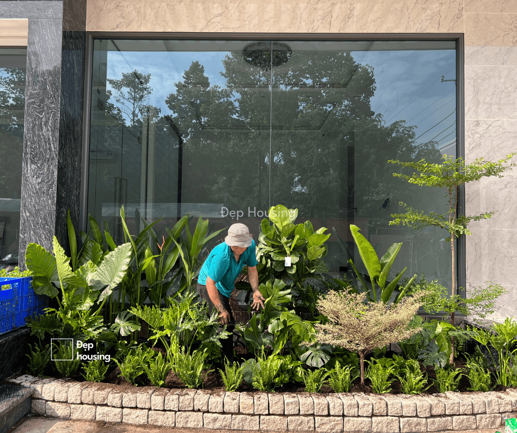 Trang trí cây sân vườn tại công ty TTT Glass Đồng Nai