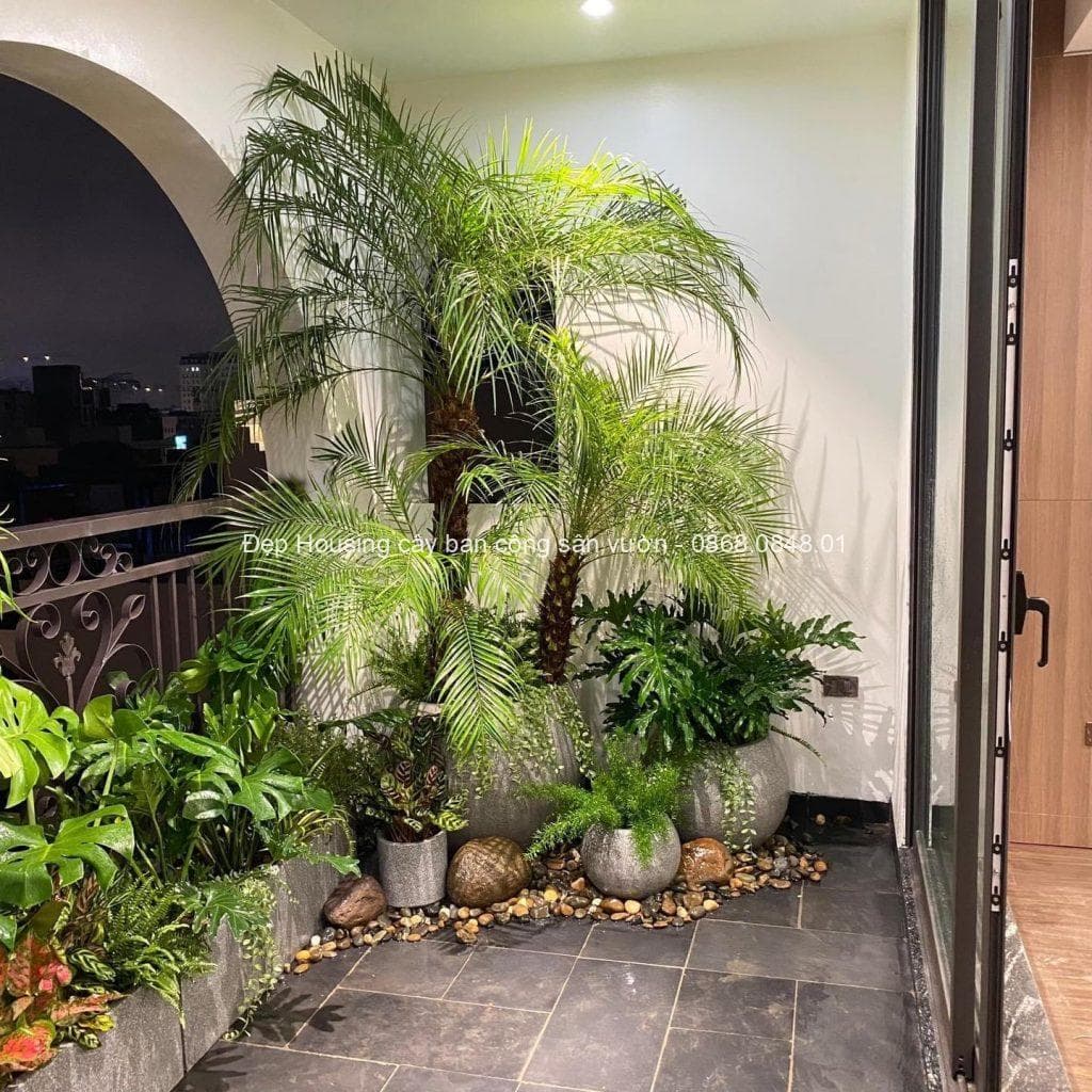 Mẫu trang trí cây ban công