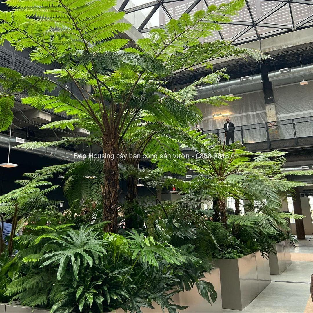 Trang trí cây xanh phong cách nhiệt đới tropical garden