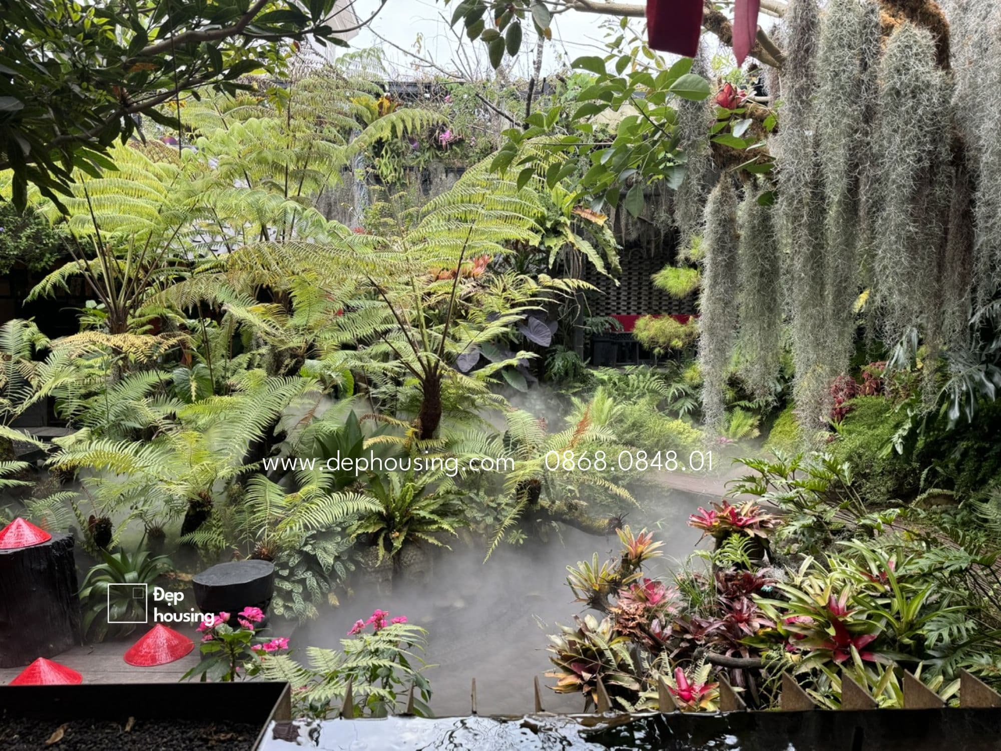 Dương xỉ thân gỗ (Dương xỉ cổ đại)