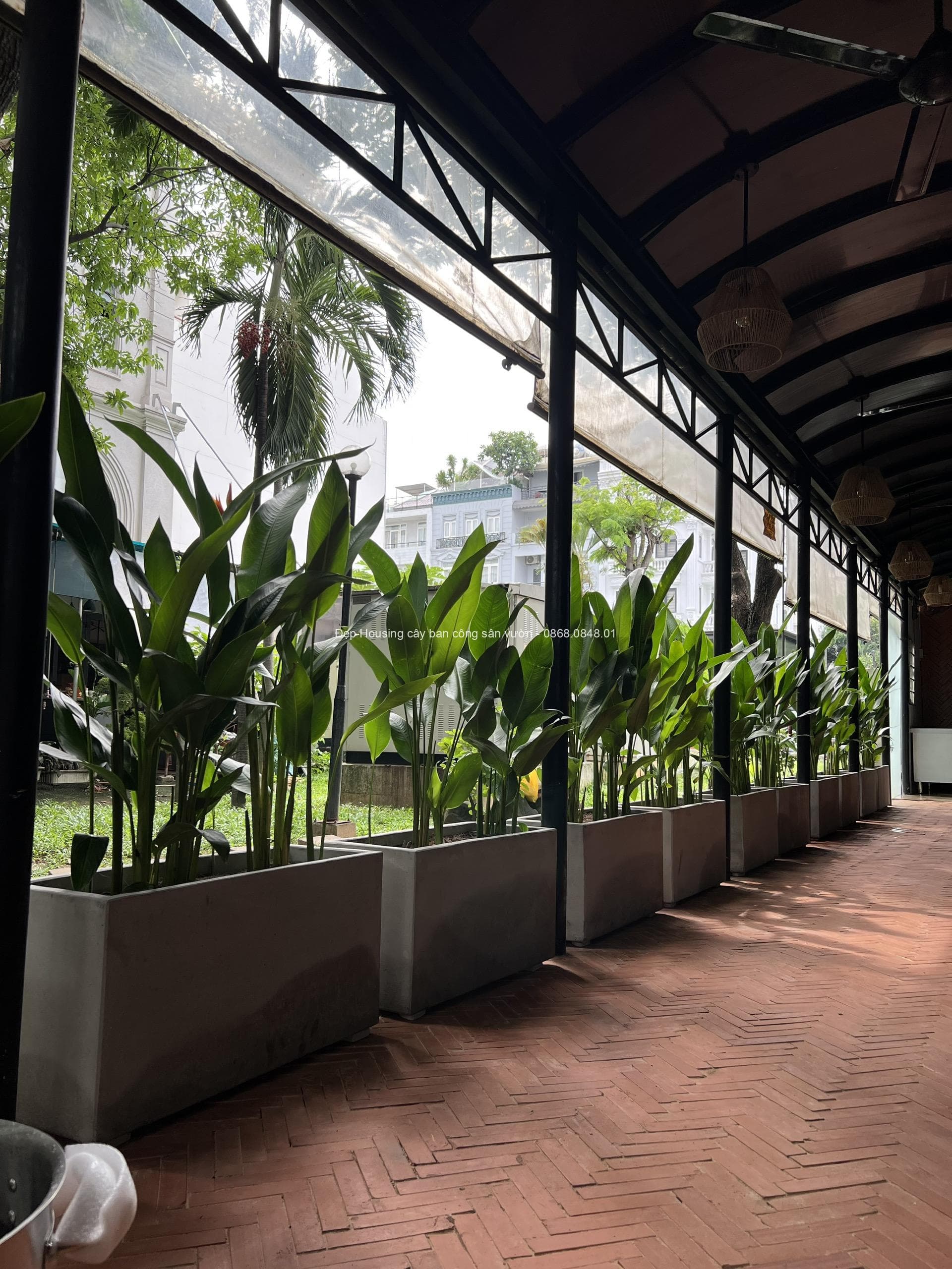 Trang trí cây xanh nhà hàng giá tốt