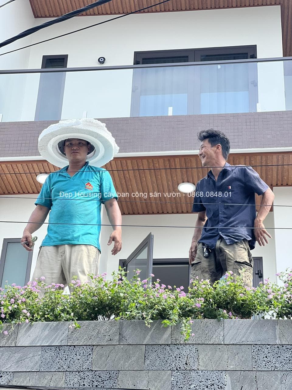 TỔNG HỢP CÁC CÂY SỐNG BỀN DỄ CHĂM CỦA ĐẸP HOUSING