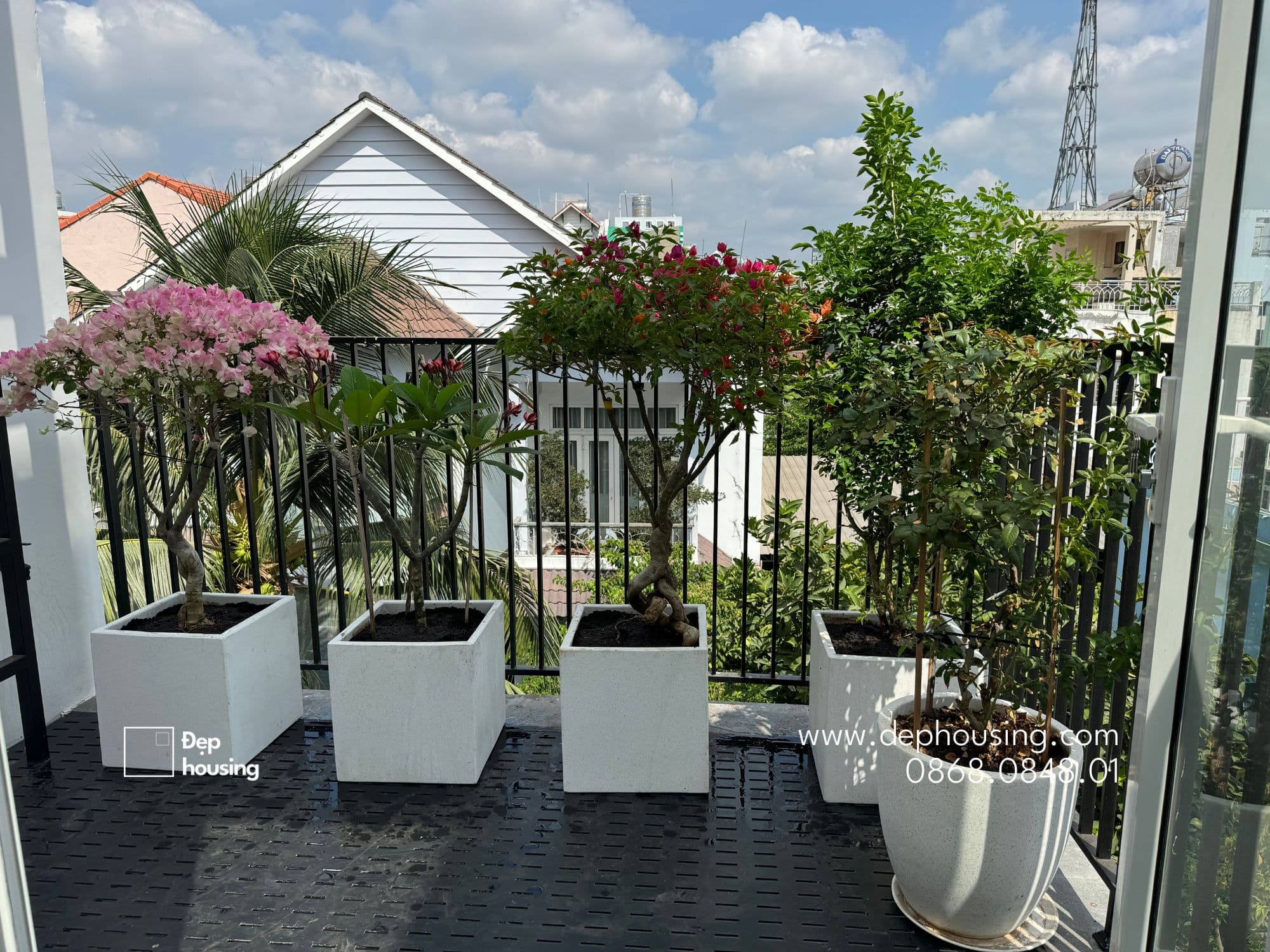 Tiểu cảnh tùng bonsai và hồ cá koi