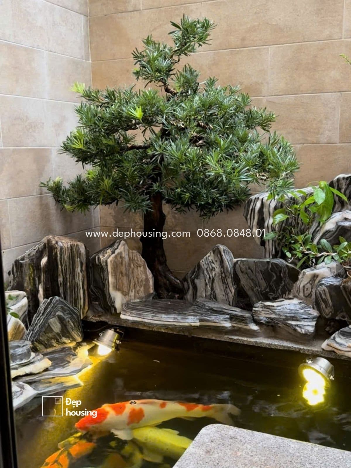 Tùng bonsai và hồ cá Koi quận 9 HCM