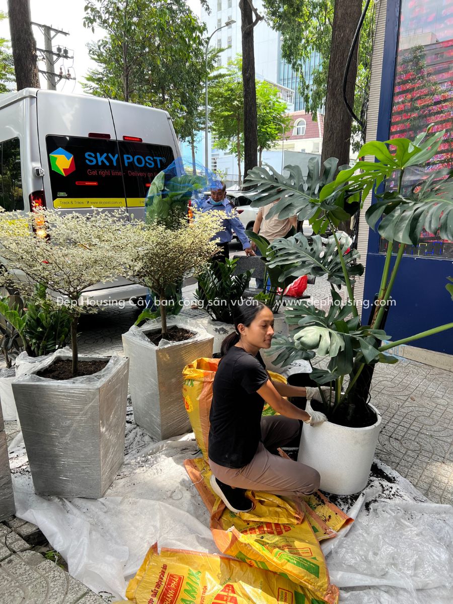 Sân vườn phong cách châu Âu