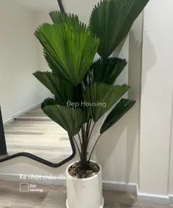 Kè nhật trồng chậu đá mài tròn 30cm