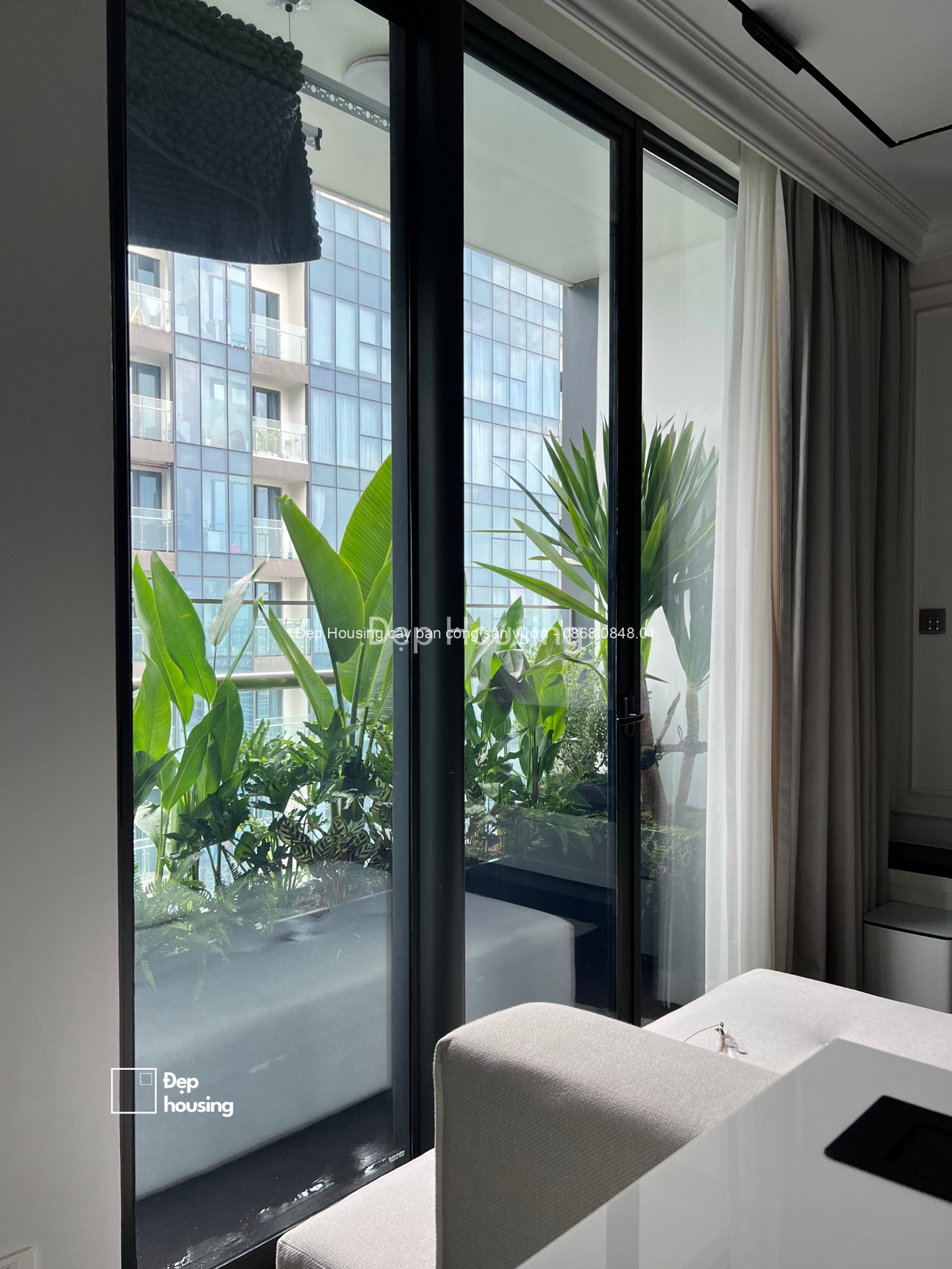 Cây ban công chịu nắng