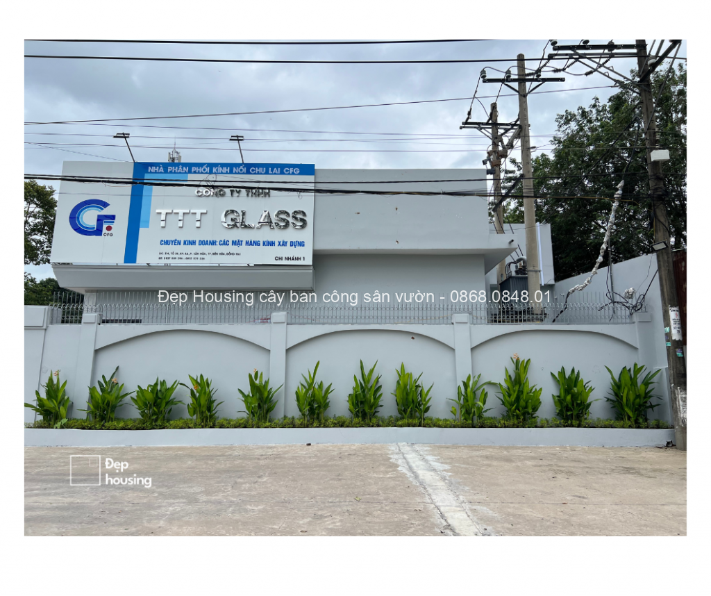 Trang trí cây xanh tại công ty TTT Glass do Đẹp Housing thực hiện