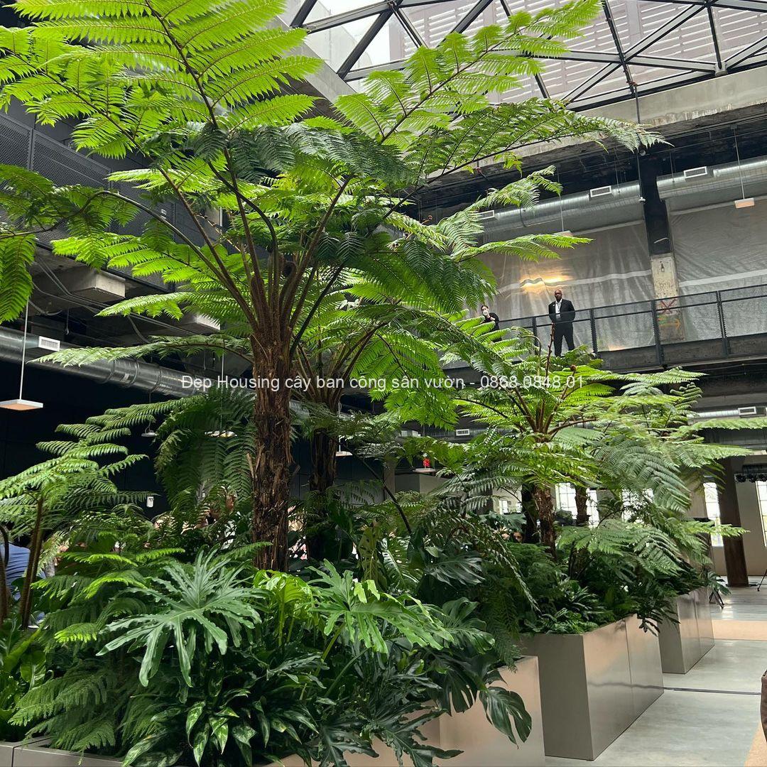 Phong cách nhiệt đới tropical garden Phong cách nhiệt đới tropical garden