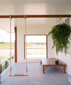 Dương xỉ thòng thái