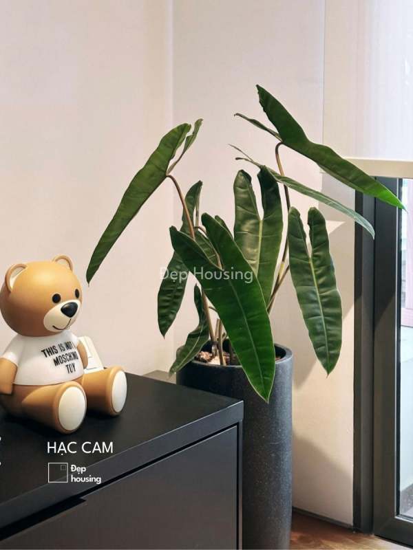 Hạc cam