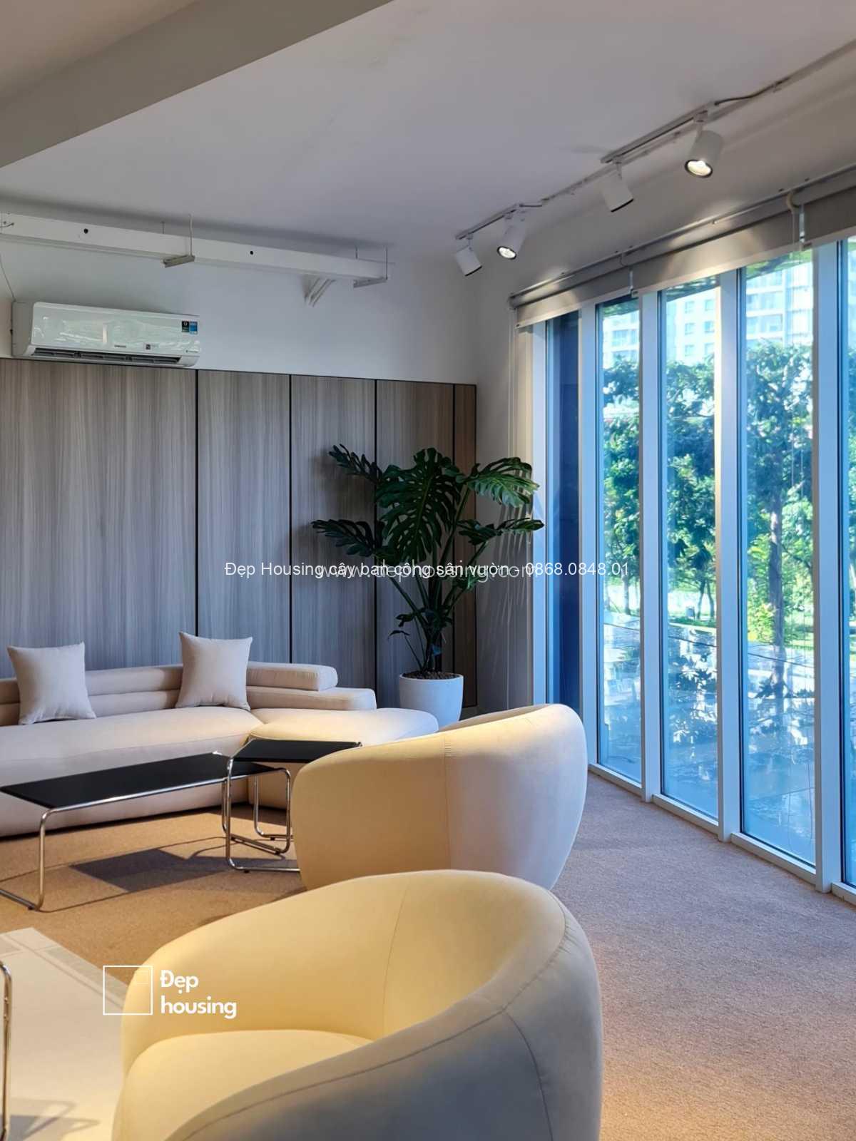 Trầu bà Monstera Trầu bà Monstera