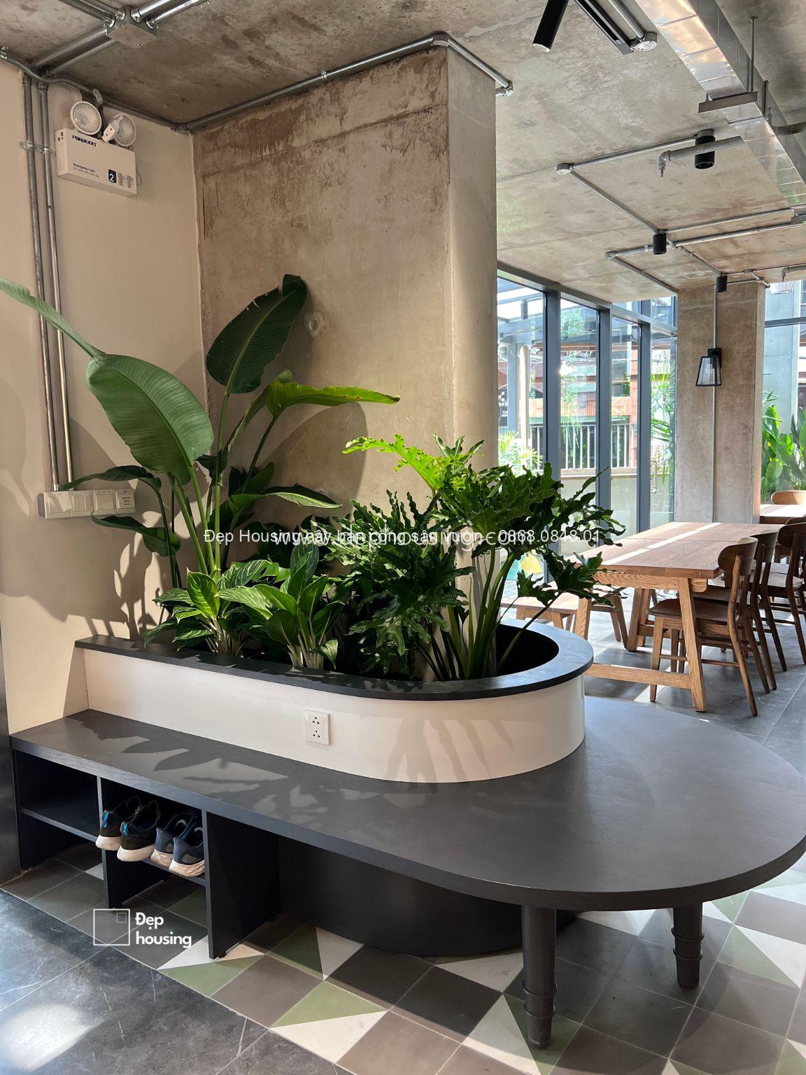 Bồn cây nhiệt đới với chuối Mỹ làm điểm nhấn