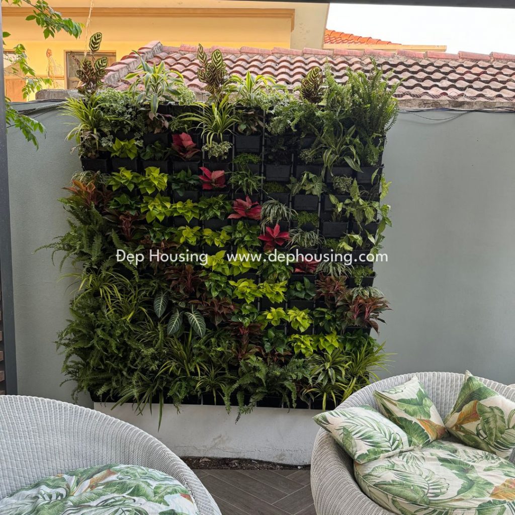 Tường cây xanh - Đẹp Housing | cây ban công sân vườn