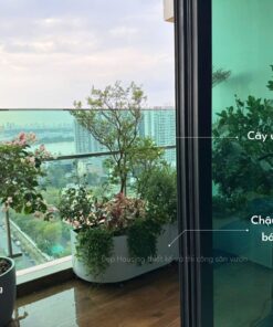 Set ban công ưa nắng